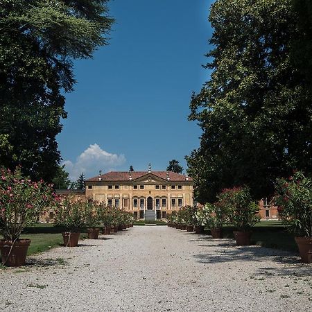 Villa Curti Sovizzo Екстер'єр фото