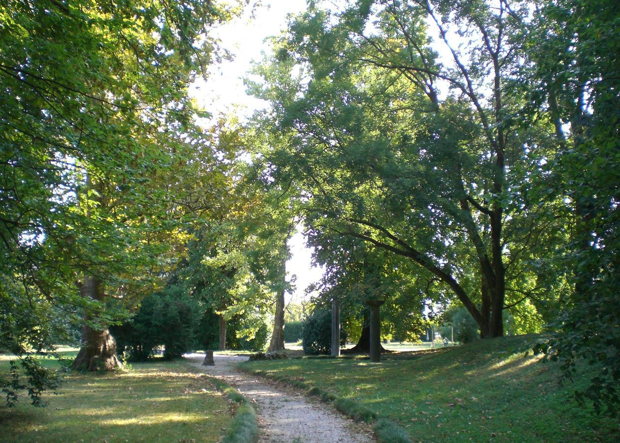 Villa Curti Sovizzo Екстер'єр фото